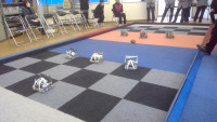 WIN_20231225_11_16_06_Pro