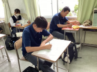 Image (7)