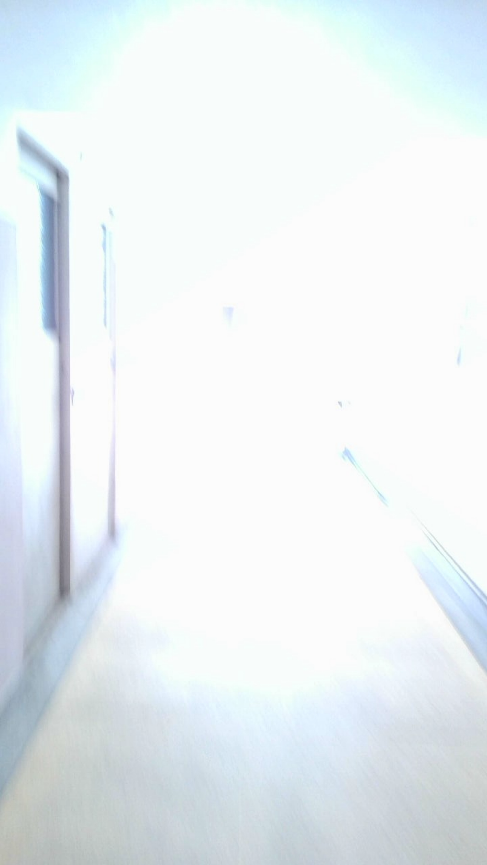 映えない写真 (2)