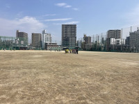 Image - 2026-04-04T092527.940