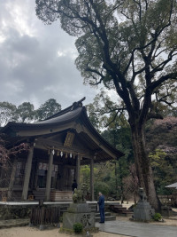 Image - 2026-04-04T092019.064