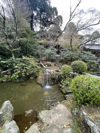 Image - 2026-04-04T091921.368