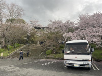 Image - 2026-04-04T091746.305