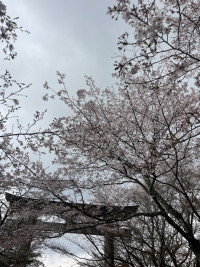 Image - 2026-04-04T091824.360