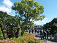 02帰宅の様子メディア - 2026-05-11T161144.478