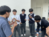 Image - 2025-10-31T090924.950