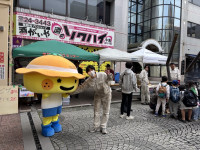 Image - 2026-03-09T073921.874